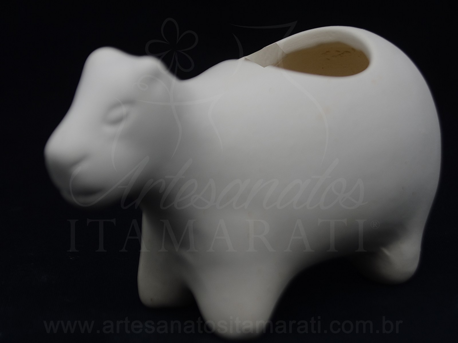 Capivara porta Suculenta
